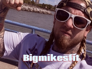 Bigmikesfit