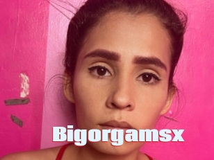 Bigorgamsx