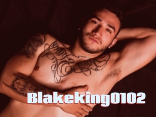 Blakeking0102