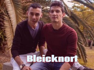 Bleicknort