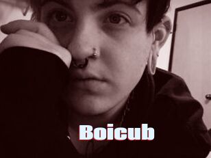 Boicub