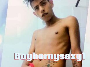 Boyhornysexy1