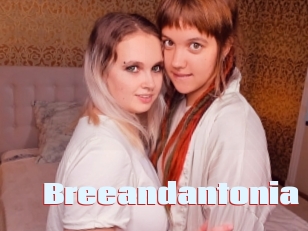 Breeandantonia