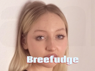 Breefudge
