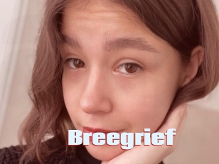 Breegrief