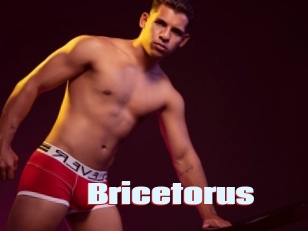 Bricetorus