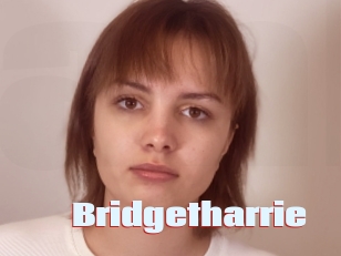 Bridgetharrie