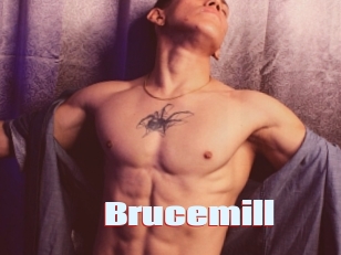 Brucemill