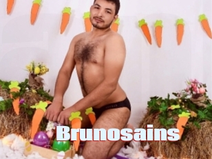 Brunosains