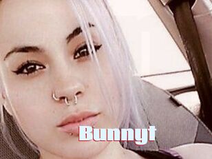 Bunny_t_