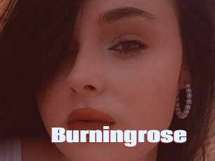 Burningrose