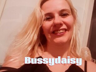 Bussydaisy