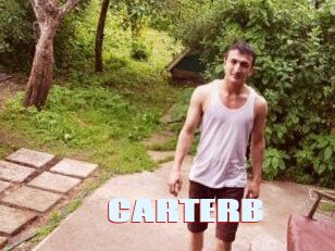 CARTER_B Anal Open