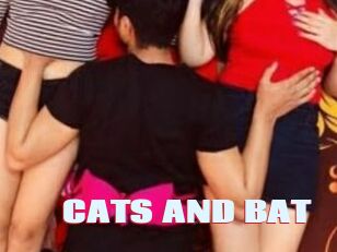 CATS_AND_BAT