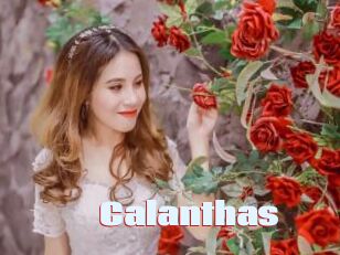 Calanthas