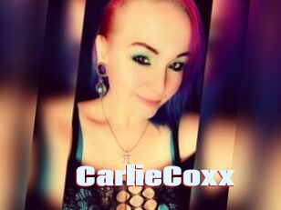 CarlieCoxx