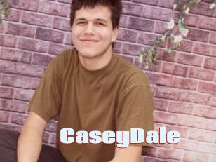 CaseyDale Anal Open