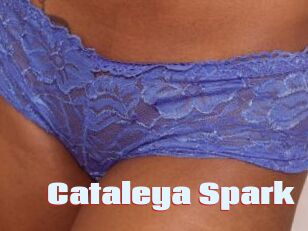 Cataleya_Spark