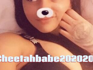 Cheetahbabe202020
