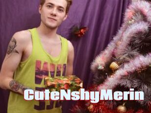 CuteNshyMerin