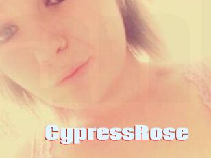 Cypress_Rose