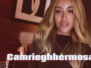 camrieghhermosa Anal Open