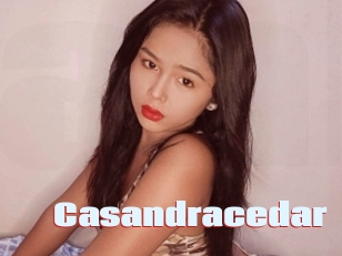 Casandracedar