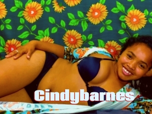 Cindybarnes