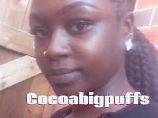 Cocoabigpuffs