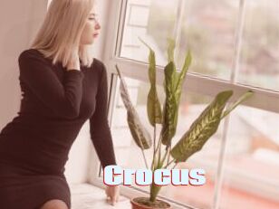 Crocus