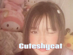 Cuteshycat