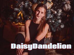 DaisyDandelion