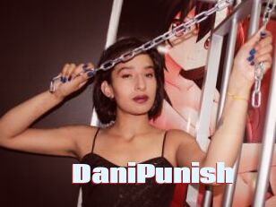 DaniPunish