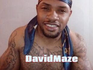 David_Maze