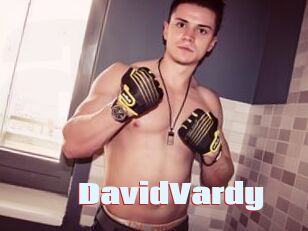 DavidVardy