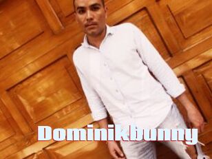 Dominikbunny