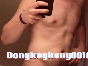 Dongkeykong0018