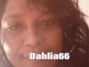 Dahlia66