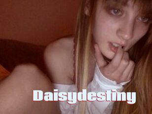 Daisydestiny