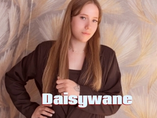 Daisywane