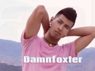 Damnfoxter