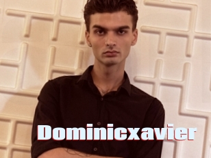 dominicxavier Anal Open