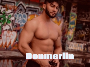 Donmerlin