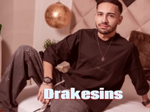 Drakesins