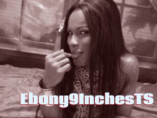 Ebony9InchesTS
