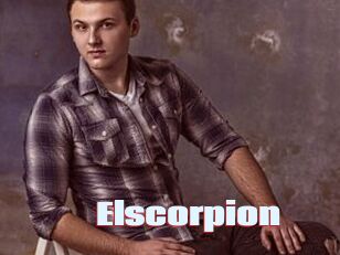 Elscorpion