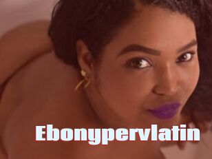 Ebonypervlatin