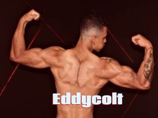 Eddycolt