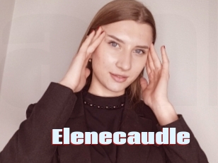 Elenecaudle