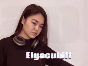 Elgacubitt